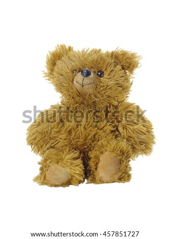 brown bear toy on white background