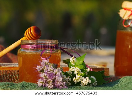 Honey in a glass jars and bee honeycombs with flowers melliferous herbs against greens. Honey with flowers.