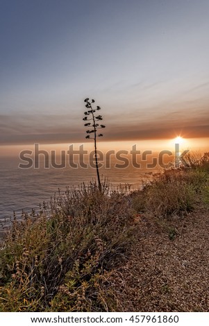 Shimmering blue, aquamarine sea and misty sky, the sun setting, in an array of pastoral colors, on a lone tree, along steep jagged cliffs of the Big Sur Coastline. Photographed near Carmel California.