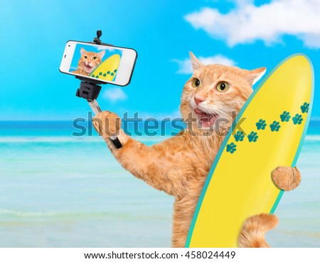 Beautiful surfer cat on the beach taking a selfie together with a smartphone.
