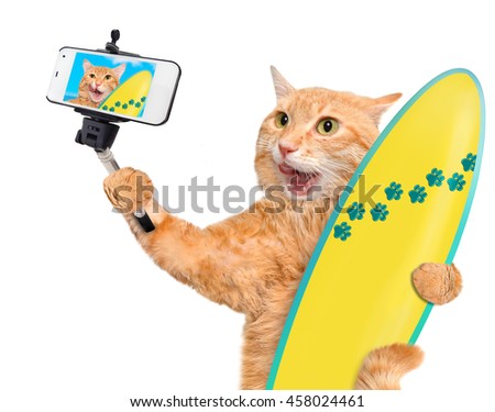 Beautiful surfer cat on the beach taking a selfie together with a smartphone.  Isolated on the white.