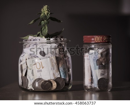 Sprout growing on glass piggy bank in saving money concept with filter effect retro vintage style