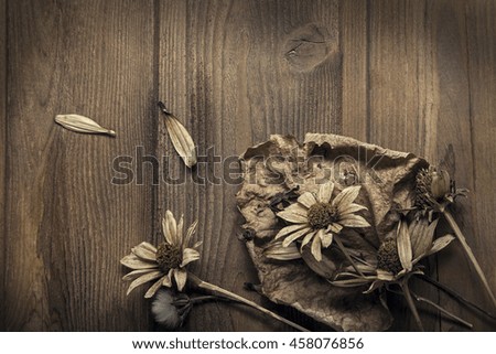Dried Flowers on a wooden background Autumn Still Life