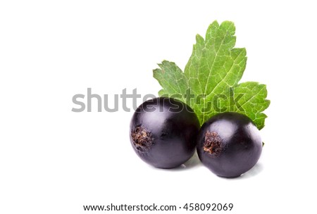 Two big black currant with leaf.White background.