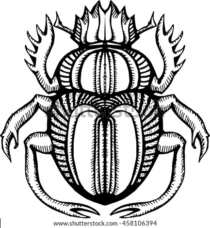 Beetle. Scarab. The stylized insect. Line art. Black and white drawing by hand. Doodle. Tattoo. Ornamental.