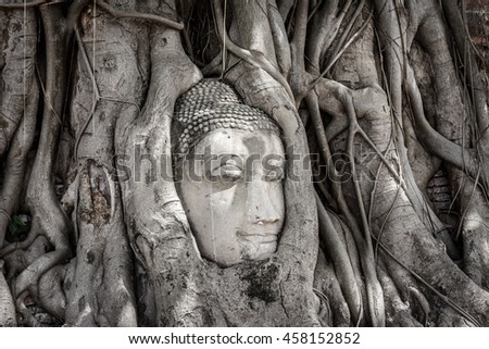 Side view of ancient buddha head in Banyan Tree Root at Wat Mahatat, Ayutthaya