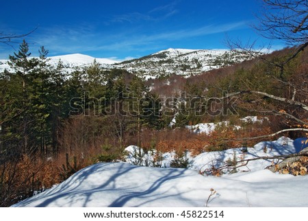 Panorama from Ossogovo Mountain, Bulgaria