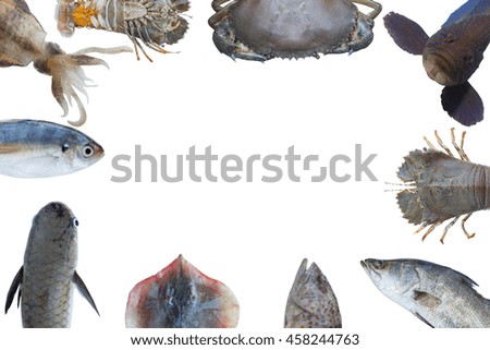 Seafood background,food frame,restaurant present pattern,aquatic life on white 