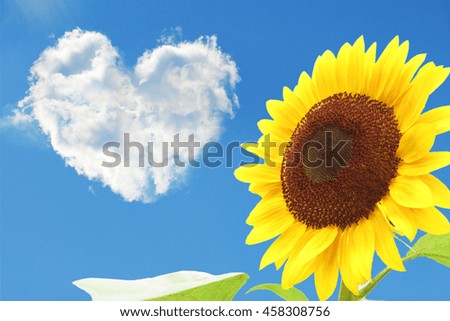 sunflower heart cloud
