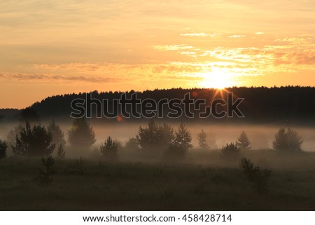 summer landscape thick fog in a field at dawn 