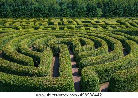 Green bushes circular labyrinth, hedge maze. Top view. Royalty-Free Stock Photo #458586442