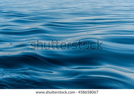 wave on the surface of the lake