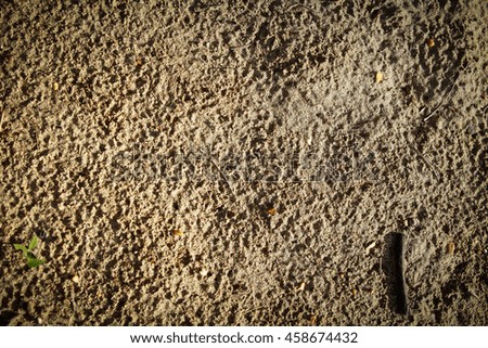 abstract sand background Texture beach