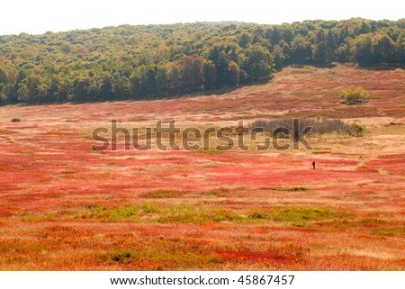big meadows in fall colors