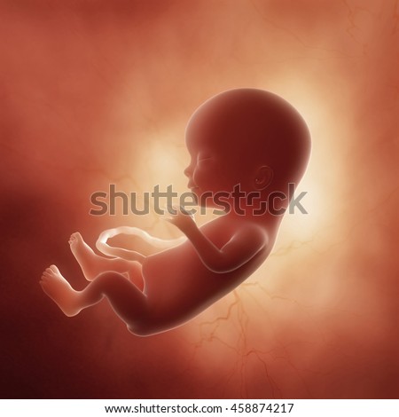 3d rendered medically accurate illustration of a fetus in week ,15