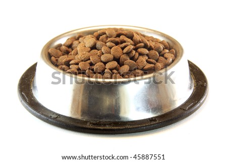 dog or cat food in a bowl
