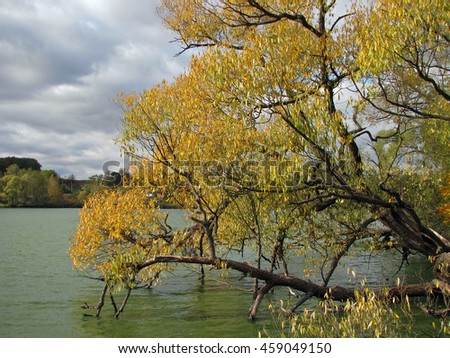 Beautiful fall landscape with lake
