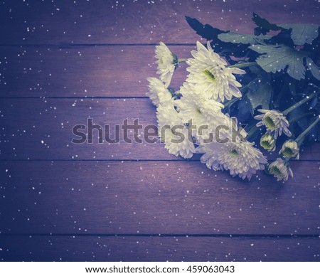 flower.white chrysanthemum on wood texture background