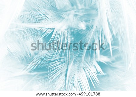 blur vintage soft feather luxurious color turquoise emerald green texture background