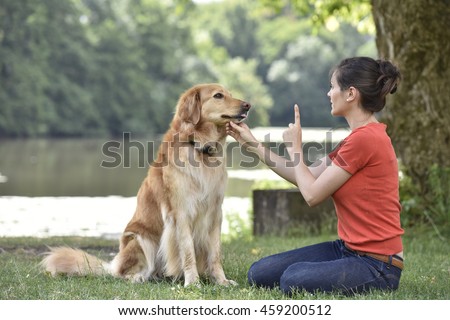 Woman training dog at the park Royalty-Free Stock Photo #459200512