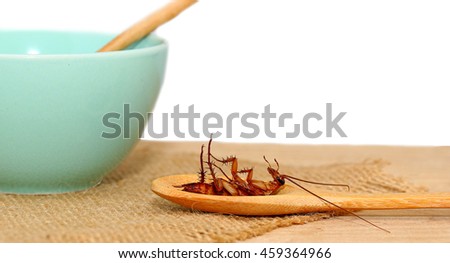 cockroach in wooden spoon with cup of soup