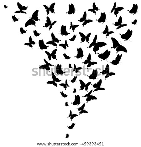 black butterflies,on a white. Vector.