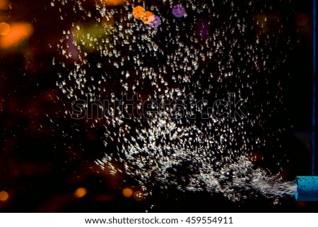 Underwater image of colorful fishes