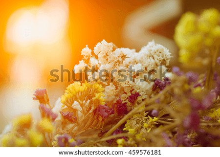 dry decorate meadow flowers