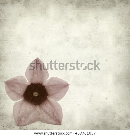 textured old paper background with pink flowers of australian bottletree