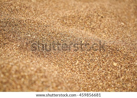 Background of Beach Sand