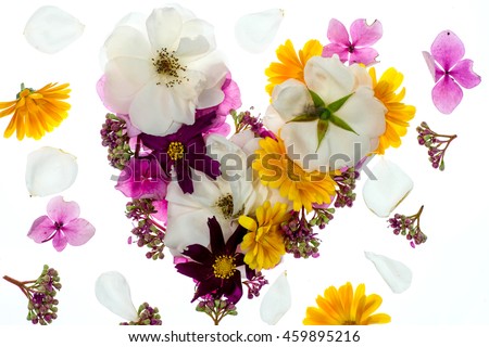 pink and purple Cosmos flowers, yellow strawflowers and pink Hydrangea on white background decorative valentine pattern with heart made of plants postcard top view flat lay