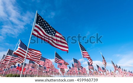 A field of hundreds of American flags.  Commemorating veteran's day, memorial day or 9/11.