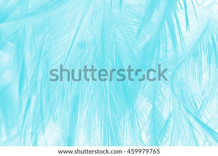 green turquoise vintage color trends feather texture background