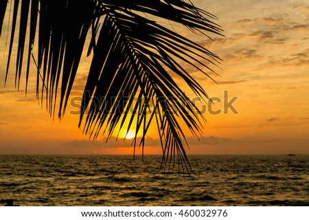 Golden sunset at the forefront of palm leaves, Florida. Golden beach tropical banner background. Coconut palm tree, sunlight and sunset over the sea. Bokeh effect. 