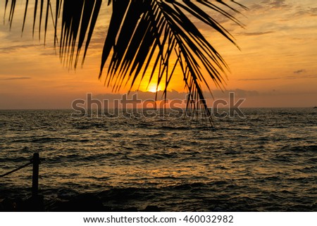 Golden sunset at the forefront of palm leaves, Florida. Golden beach tropical banner background. Coconut palm tree, sunlight and sunset over the sea. Bokeh effect. 