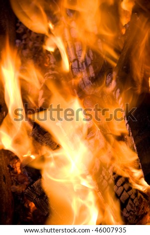 firewood in orange fire