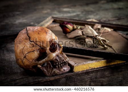 still life with human skull and roses dried in a picture frame on the old wooden background