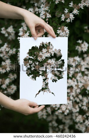 holding paper cut miniature tree over blooming tree