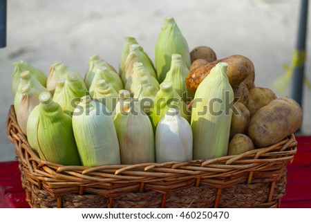 Yellow fresh Corn and potato on basket