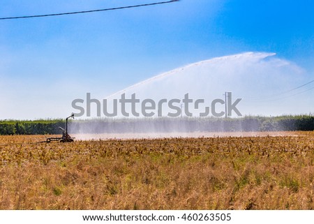High pressure spray from an irrigation nozzle watering dry and flaked crops