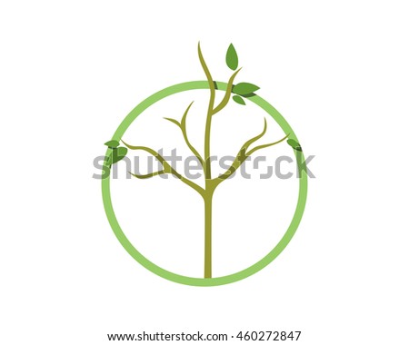 circle dead tree leafless plant fall image vector icon