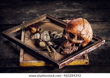 still life with human skull and roses dried in a picture frame on the old wooden background