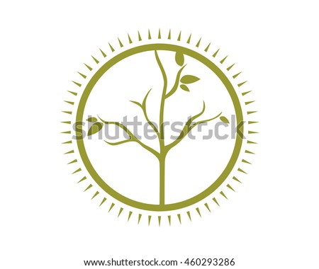 circle dead tree leafless plant fall image vector icon