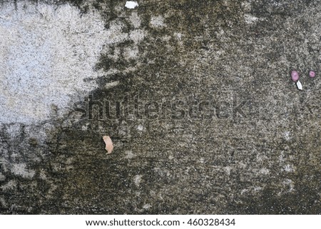Cement floor