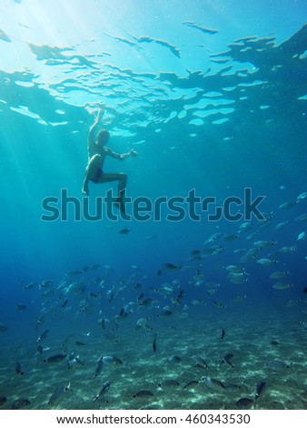 people in the underwater world