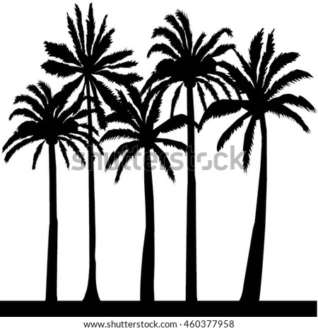 Tropical palm trees - vector illustration