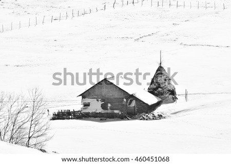 Black and white. Winter on Carpathian mountains.rural landscape.