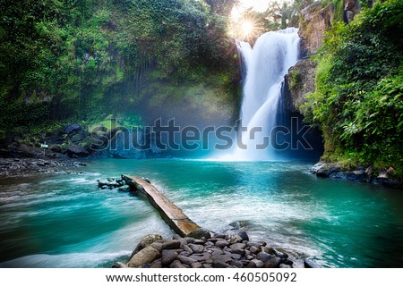 Waterfall hidden in the tropical jungle Royalty-Free Stock Photo #460505092
