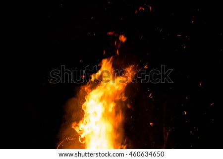 Wildfire,Arson or nature disaster,Forest fire,fire flames