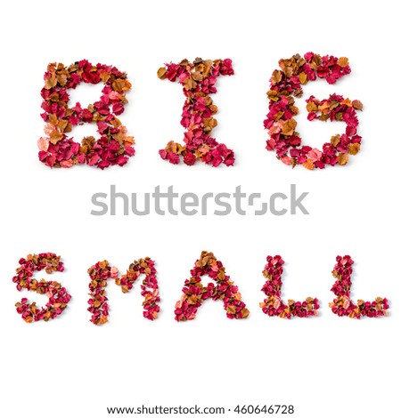 alphabet letters of big and small on white background